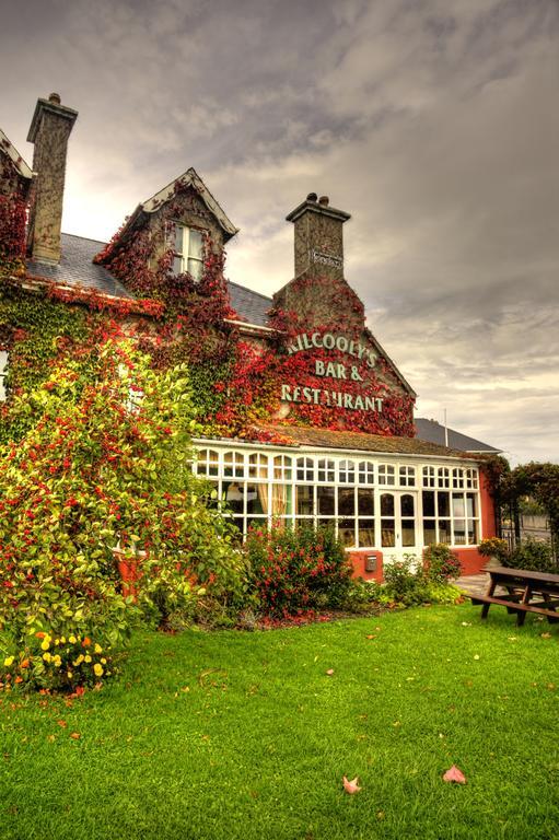 Kilcooly'S Country House Hotel バリーバニオン エクステリア 写真